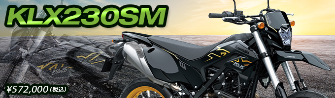 2023 KLX230SM