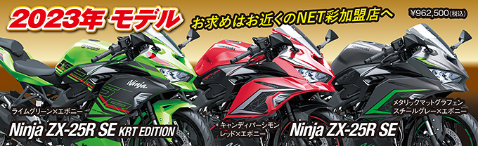 Ninja ZX-25R