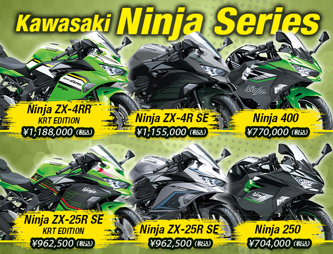 Kawasaki Ninja Series